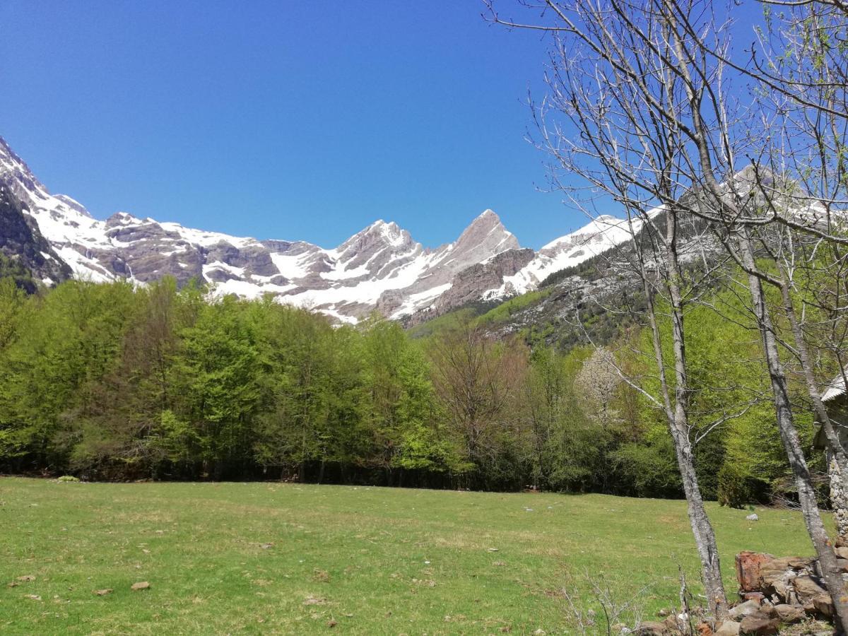 Apartamento El Fenal De Turmo Casa Rural "El Capricho De Nieves" Laspuña Dış mekan fotoğraf